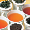 Elmstock Tea - Stories of Tea