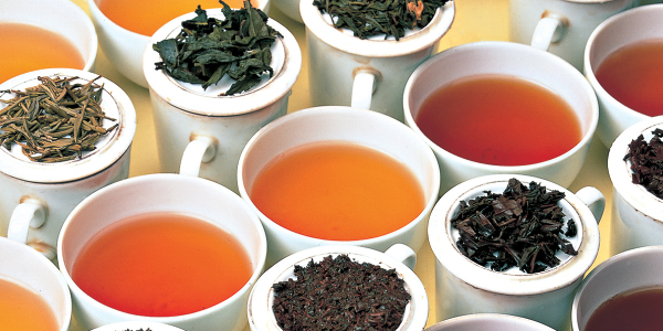 Elmstock Tea - Stories of Tea