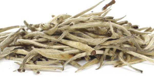 Elmstock - Stories of Tea