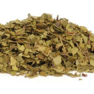 Australian Lemon Myrtle